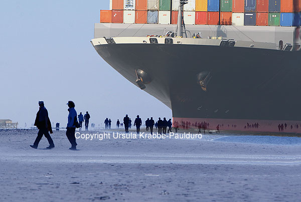Foto-Illusion "Strandgut", Druck auf Leinwand, 80 x 54 cm