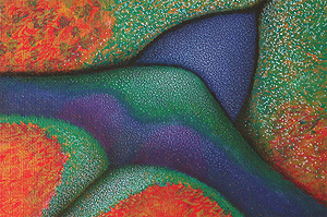 Chinese tiger beetle Cicindela painting back by Ernst Paulduro and Ursula Krabbe-Paulduro