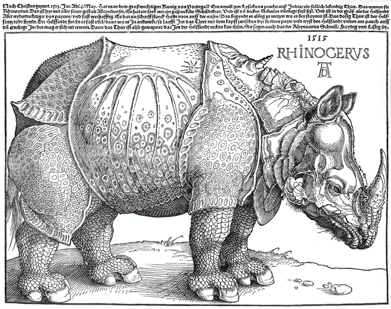 Drer Rhinoceros Holzschnitt, Ernst Paulduro und Ursula Krabbe-Paulduro