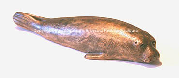Harbour seal Finja in bronze by Ernst Paulduro and Ursula-Krabbe-Paulduro