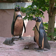 Humboldt-Pinguin-Familie in Bronze im Tiergarten N�rnberg