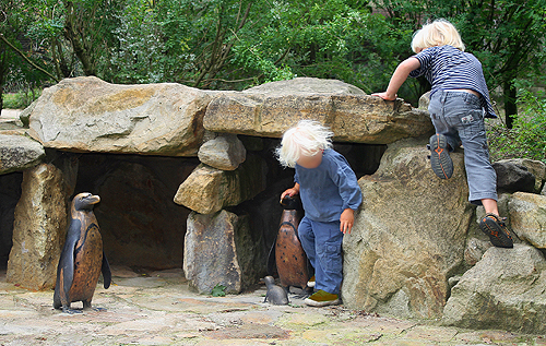 Pinguine im Allwetterzoo M�nster