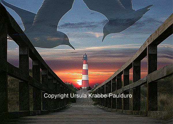 Foto-Illusion "Raubm�wen", Druck auf Leinwand, 80 x 58 cm