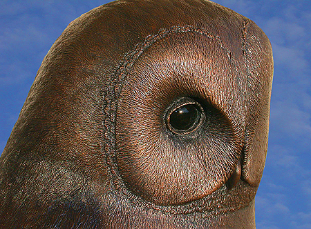 Waldkauz Portr�t in Bronze von Ernst Paulduro und Ursula Krabbe-Paulduro